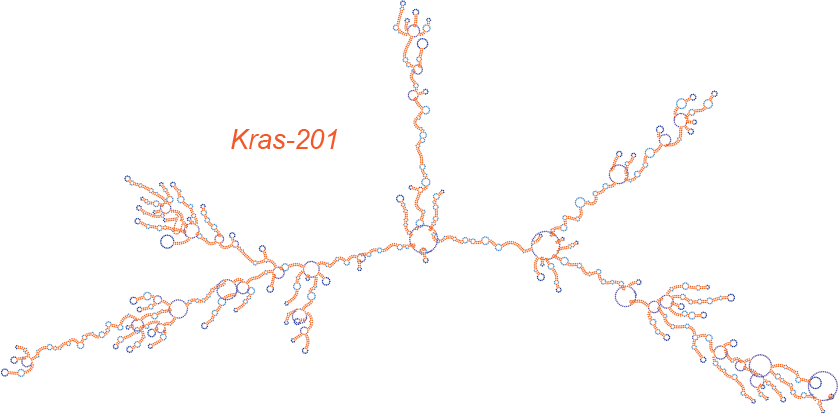 kras-201
