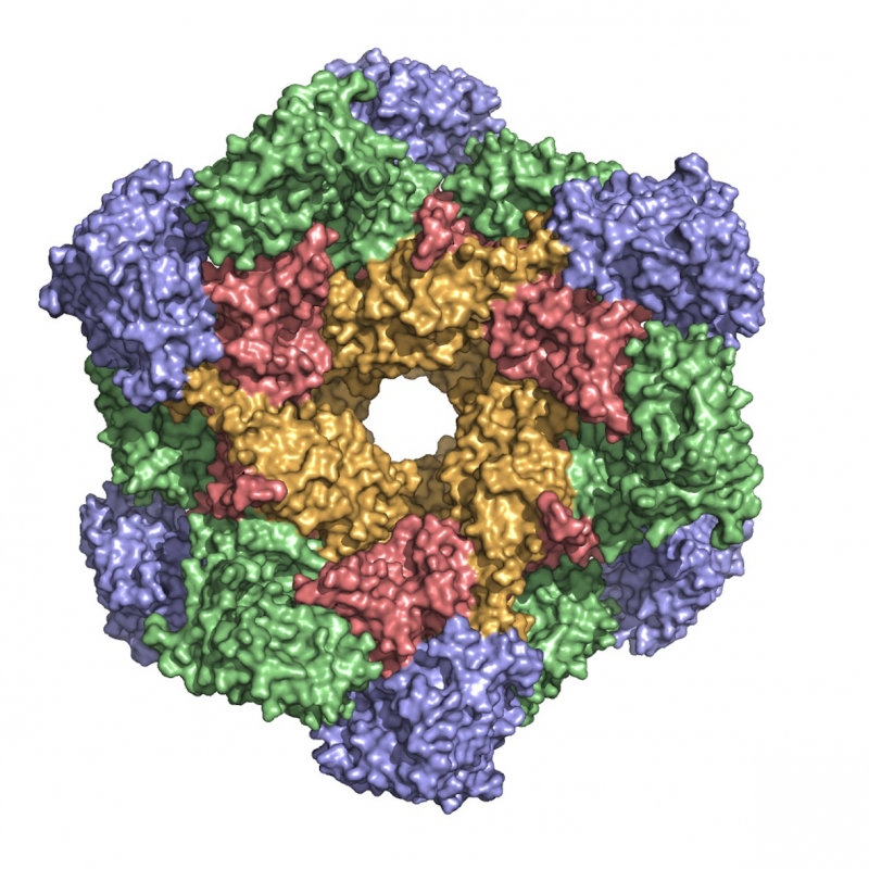 Fragments in the BAZ2A bromodomain pocket