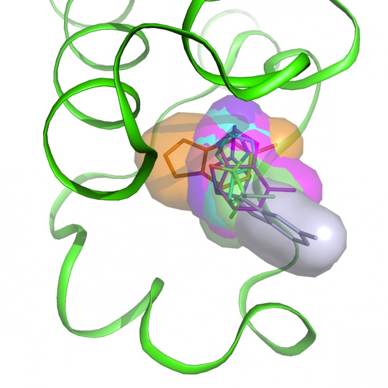 Electron density of a potent inhibitor in the CK2 ATP-binding pocket