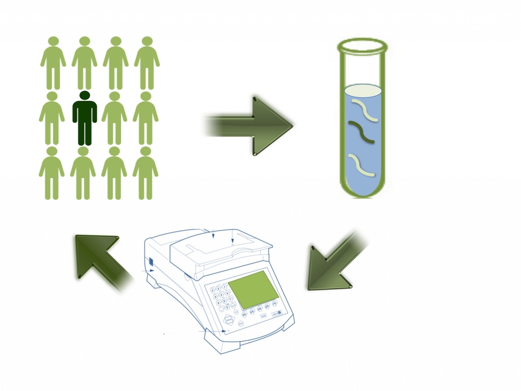 microRNAs in biofluids can be measured and used as biomarkers
