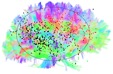Visual representation of the brain