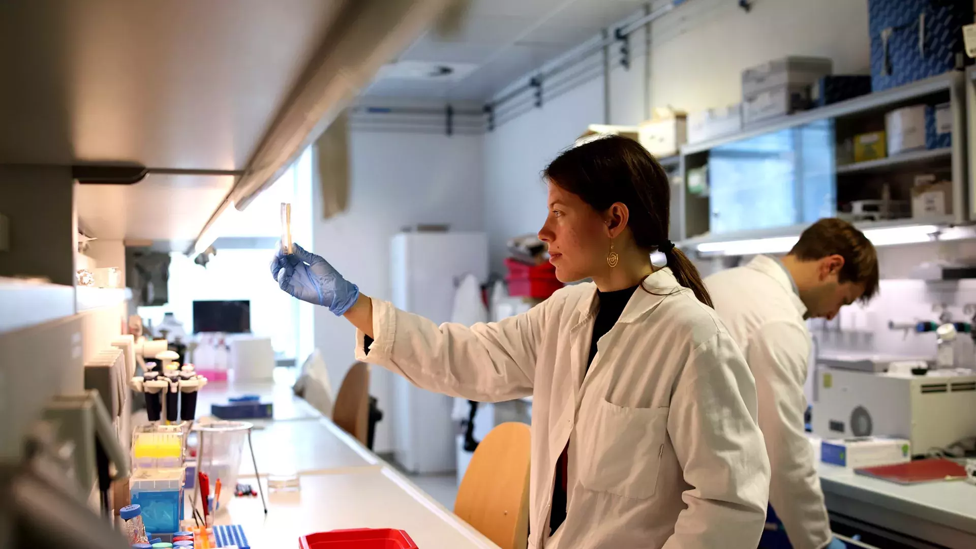 Ricercatrice in laboratorio che osserva una provetta